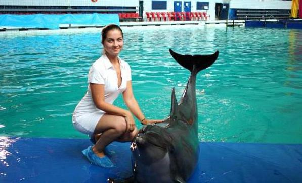 dolphinarium krestovsky ostrov saint petersburg