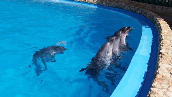Krymské delfinária