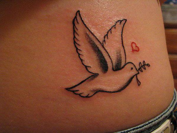 holubice tetování