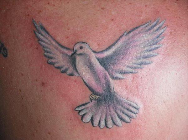 tatuaggio colomba sul polso