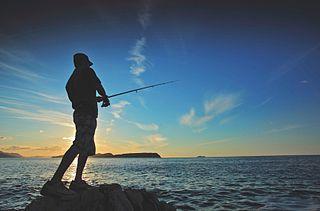 Zašto san o ribolovu