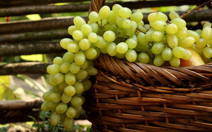 kaj sanja o uživanju grozdja