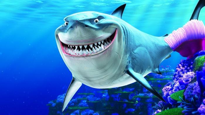 о чему сањају ајкули