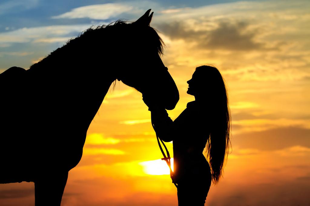 Kůň a žena na pozadí západu slunce