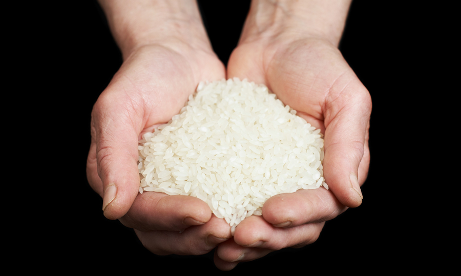 Rýže v ruce