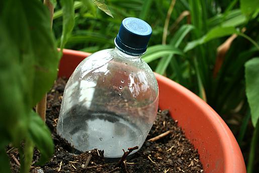 irrigazione a goccia fai-da-te a effetto serra