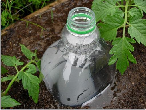sistemi di irrigazione a goccia di bottiglie