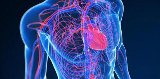 cardos kardiologi pregledi