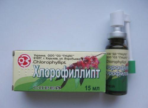 Pregledi navodil za klorofilip