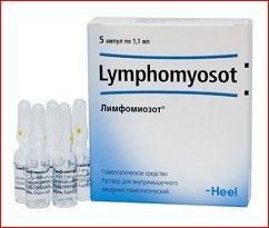 recenze lymfomazotů