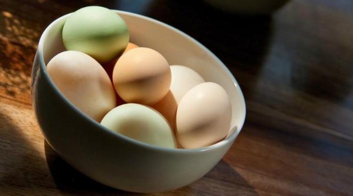 Pačja jajca: koristi in škoda