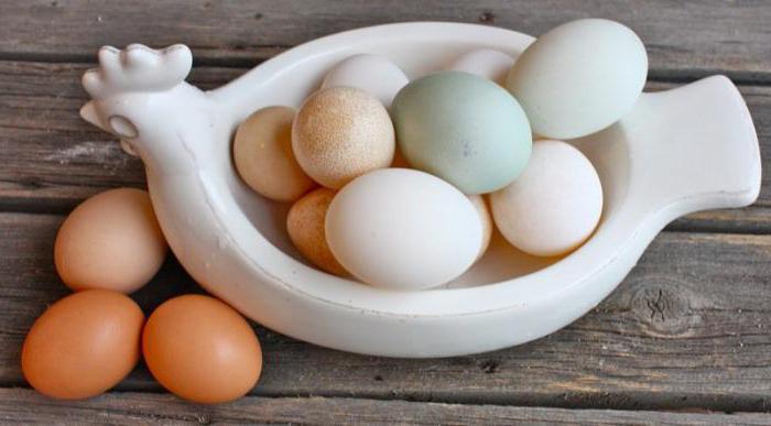 Kako kuhati račja jajca