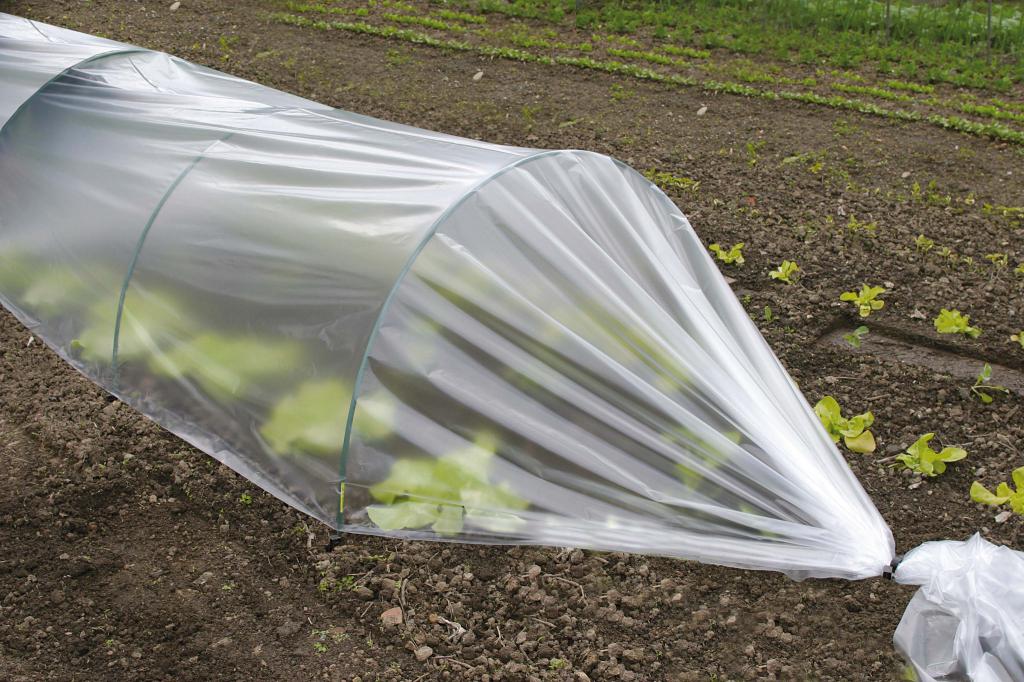 skleníkové oblouky pro zahradní postele