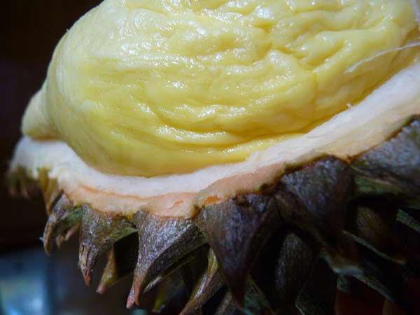král ovoce durian