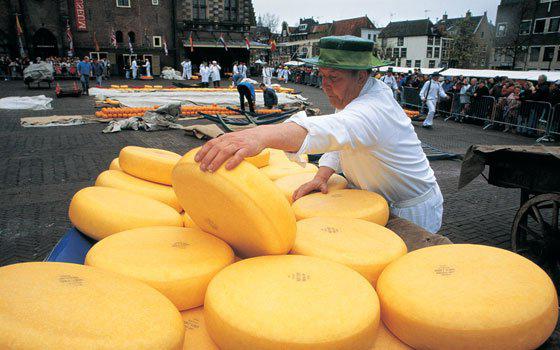 Нидерландско сирене