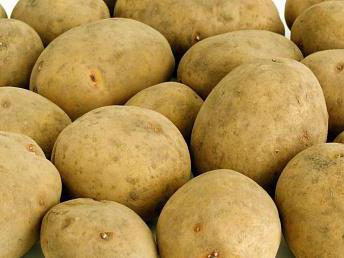 Karatop krumpir Opisi ranih opisa sorti