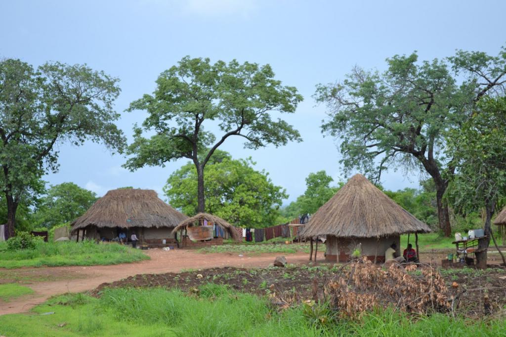 Case dello Zambia