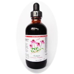 Echinacea zdravilne lastnosti tablete