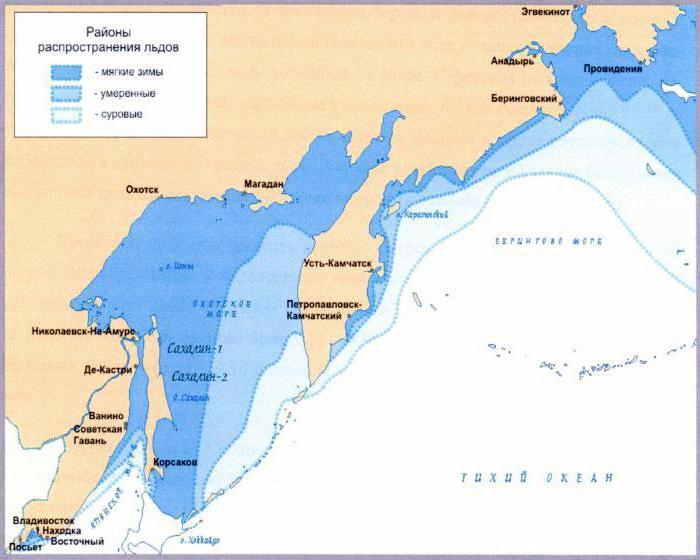 Екологични проблеми на море от Охотск