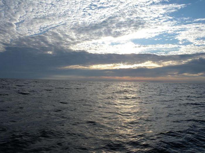 descrivere la situazione ecologica in diversi mari della Russia