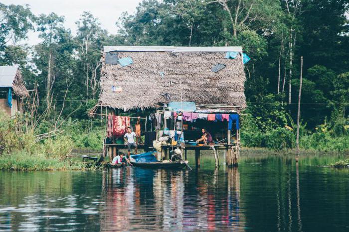 ekonomické využití řeky Amazonky