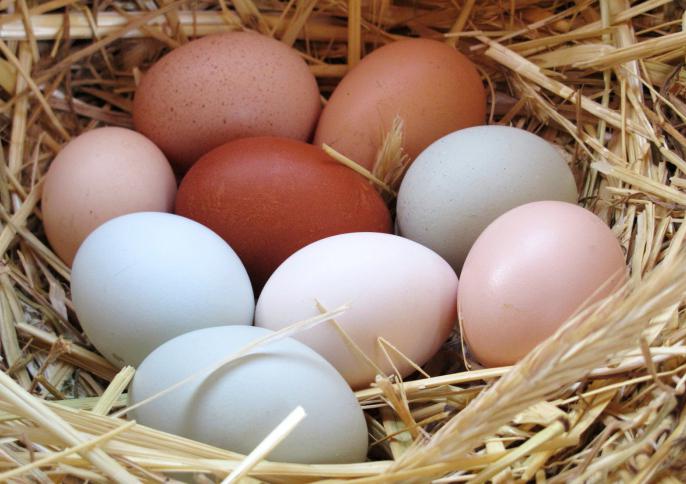 dieta a base di uova per 7 giorni
