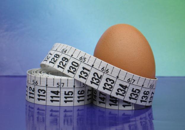 Pregledi prehrane z jajci