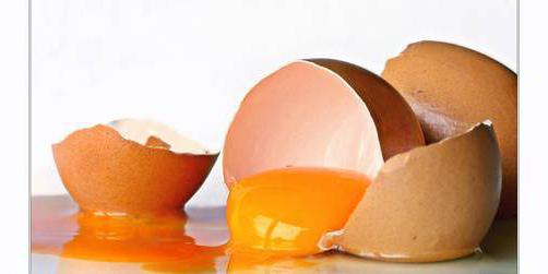 proteine ​​dell'uovo