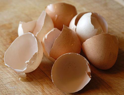 третиране на черупки от яйца