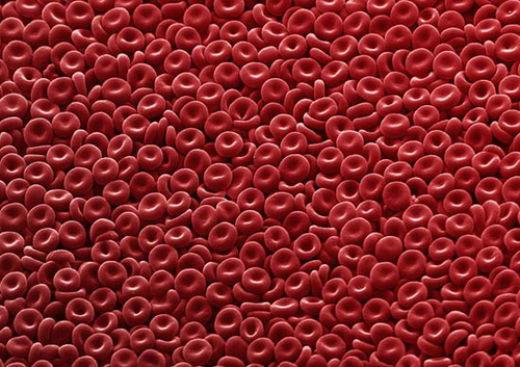 czerwone krwinki są podwyższone