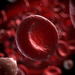 dlaczego czerwone krwinki są podwyższone