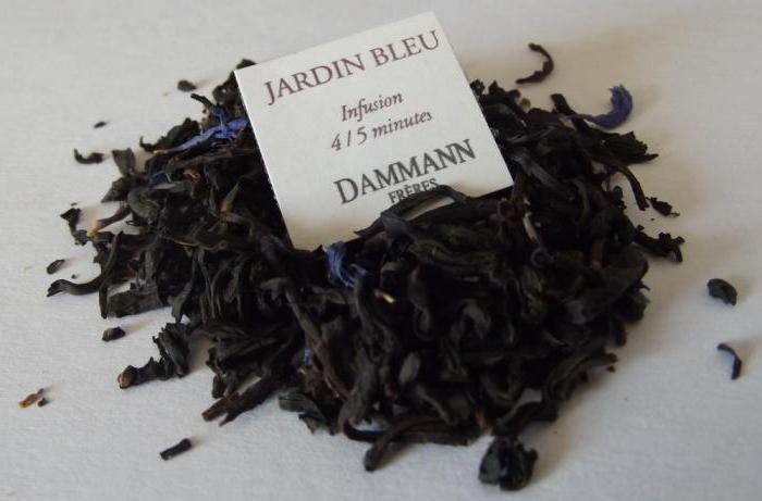czarna herbata Dammann