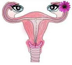 przerost endometrium w okresie menopauzy