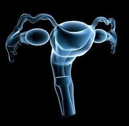 endometrioidní léčba cystiny vaječníků