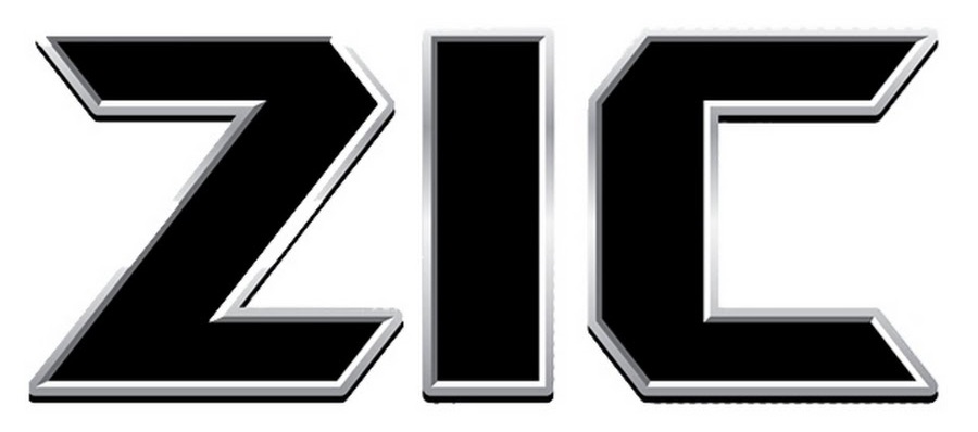 Logotip ZIC