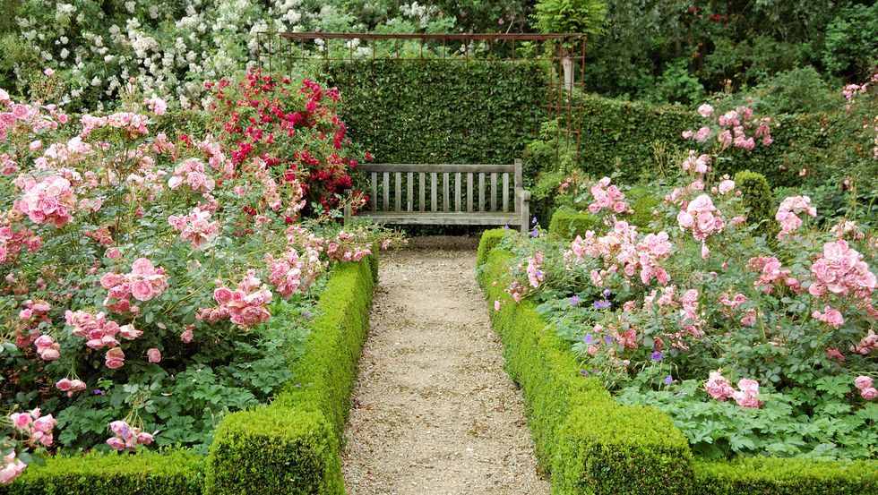 oblikovanje angleških vrtov