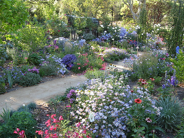 разнообразие от цветове в английската градина
