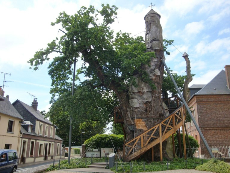 Kaple dub ve Francii