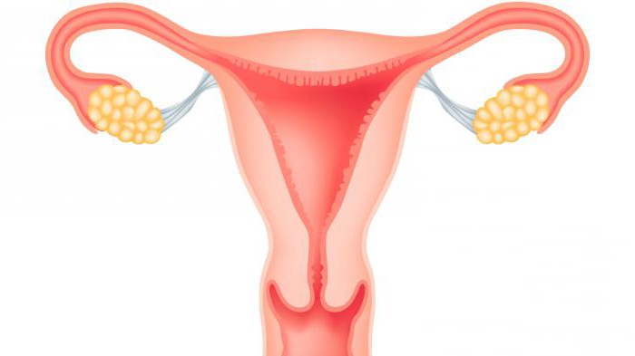 uzroci povećanog uterusa