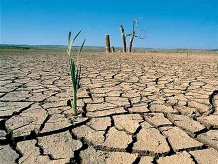 Problemi di ecologia  Erosione del suolo