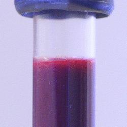 szerokość rozkładu czerwonych krwinek