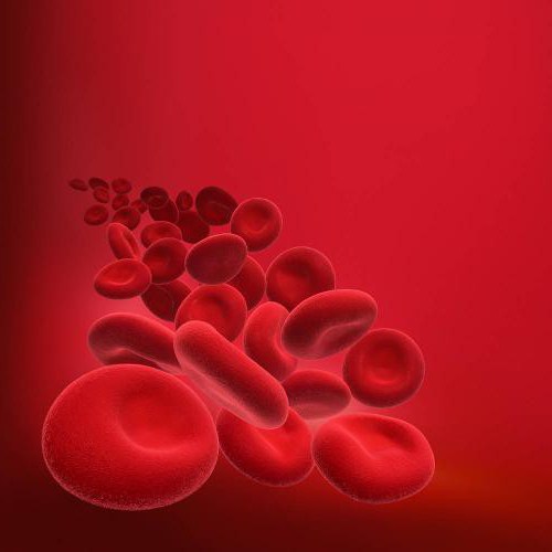 červené struktury krvetvorných buněk