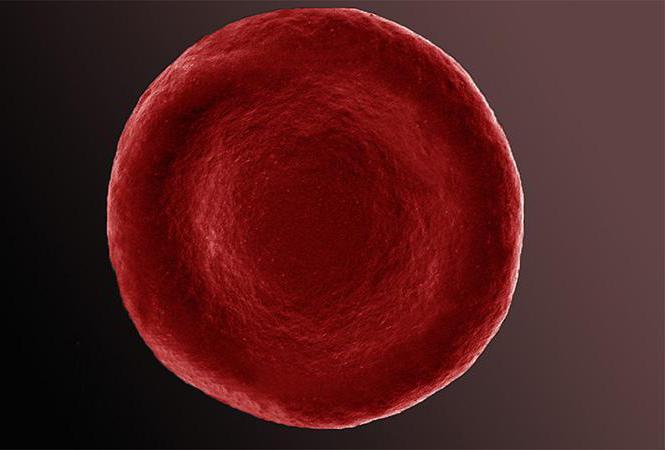 žabe crvenih krvnih stanica