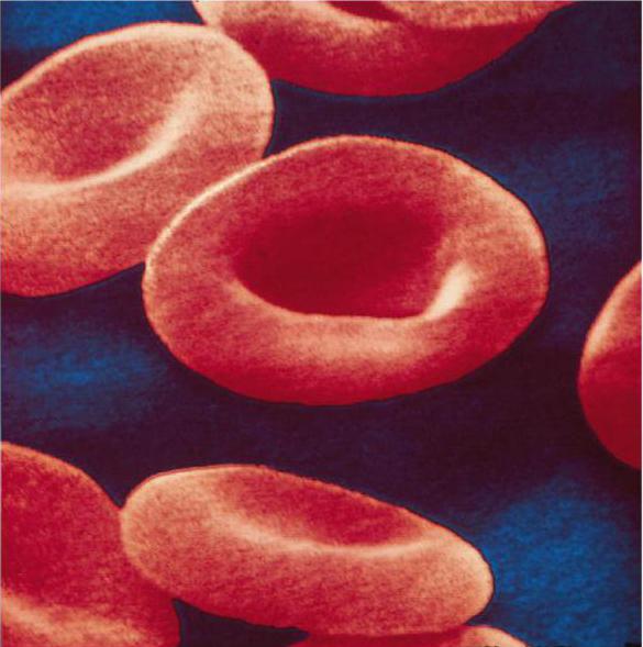 strukturu a funkce červených krvinek