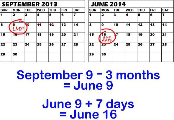 predvideni datum dobave po datumu spočetja