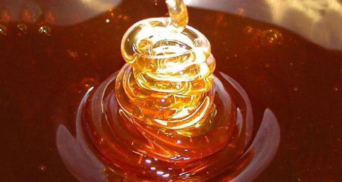 Абхазийски евкалиптов мед