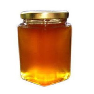 lastnosti medu evkaliptusa