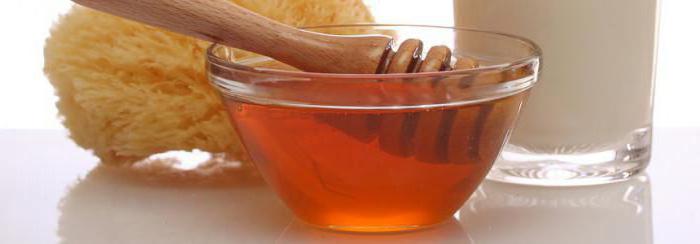 proprietà utili e controindicazioni del miele di eucalipto