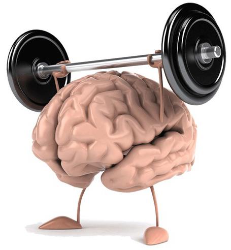 vježbe u mozgu