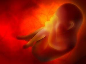 izločanje placente med nosečnostjo